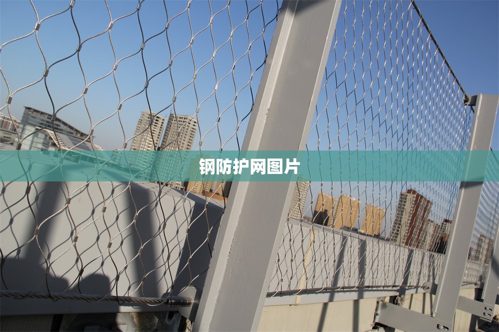钢防护网图片(钢丝防护网图片)