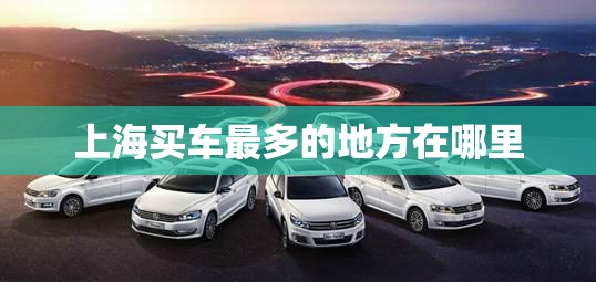 【上海买车比较多的地方在哪里,上海买车会比其他地区贵吗】