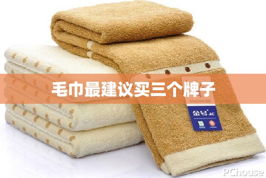 【毛巾最建议买三个牌子,什么牌毛巾耐用质量好】