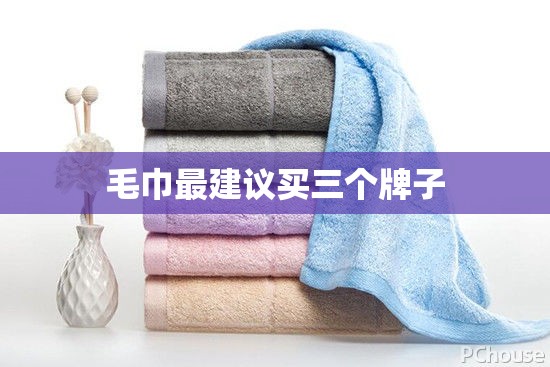 【毛巾最建议买三个牌子,什么牌毛巾耐用质量好】 【毛巾最建议买三个牌子,什么牌毛巾耐用质量好】