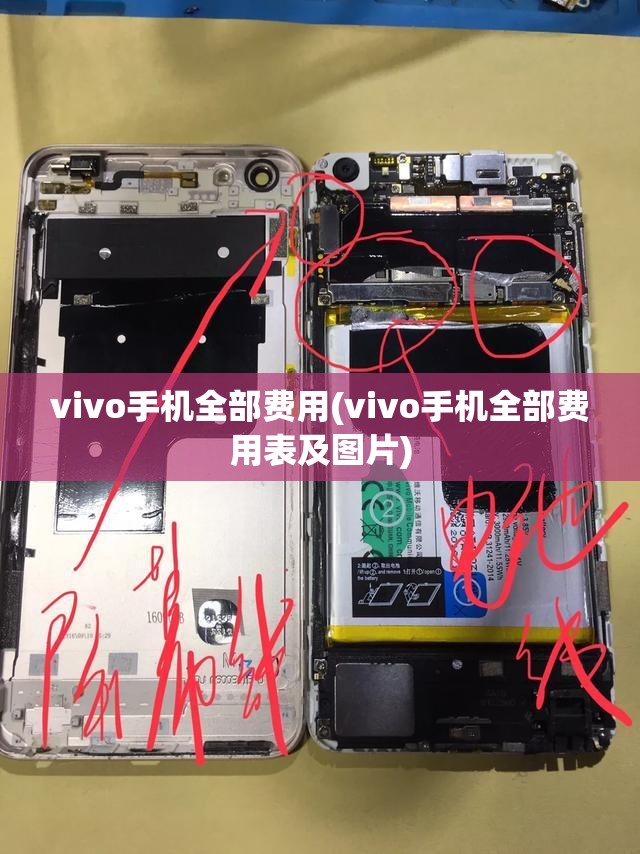 vivo手机全部费用(vivo手机全部费用表及图片)