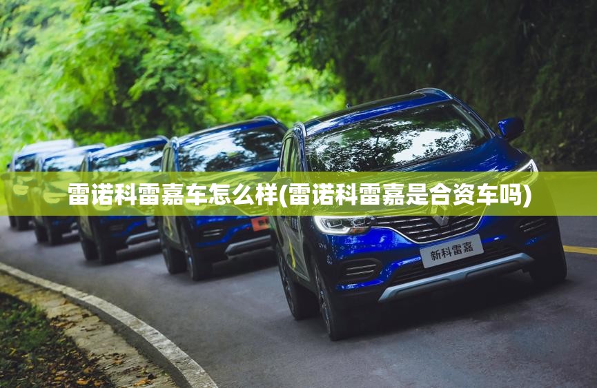 雷诺科雷嘉车怎么样(雷诺科雷嘉是合资车吗)
