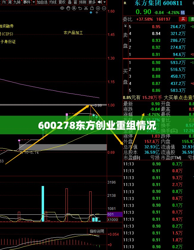 【600278东方创业重组情况,600278有过重组建议吗】