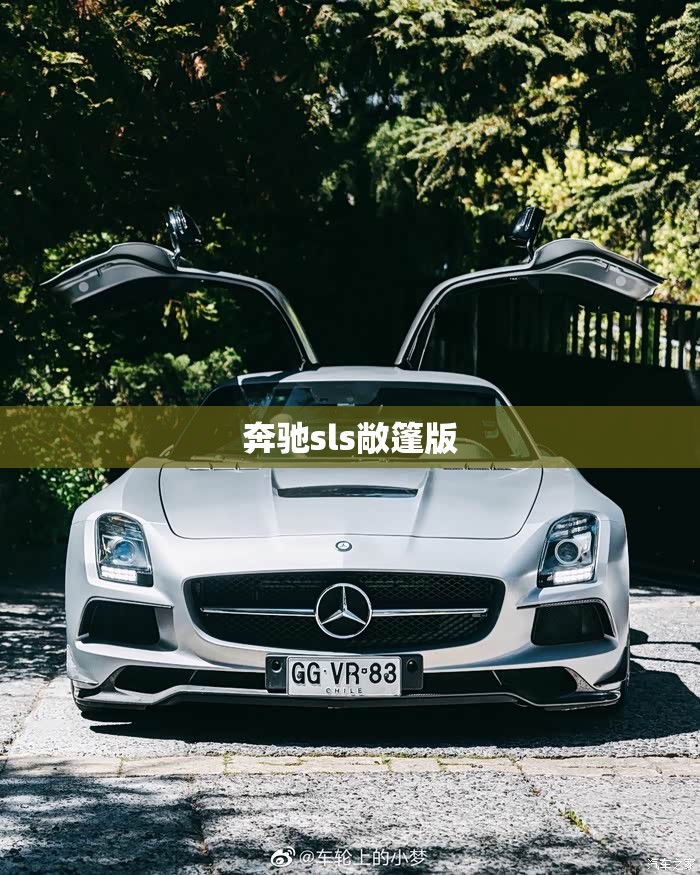 奔驰sls敞篷版(奔驰s级敞篷)
