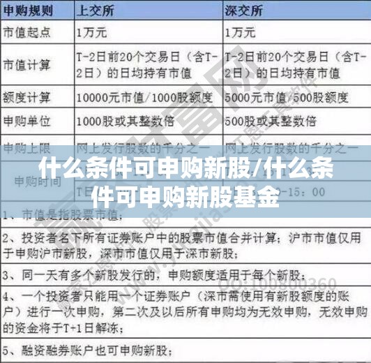 什么条件可申购新股/什么条件可申购新股基金