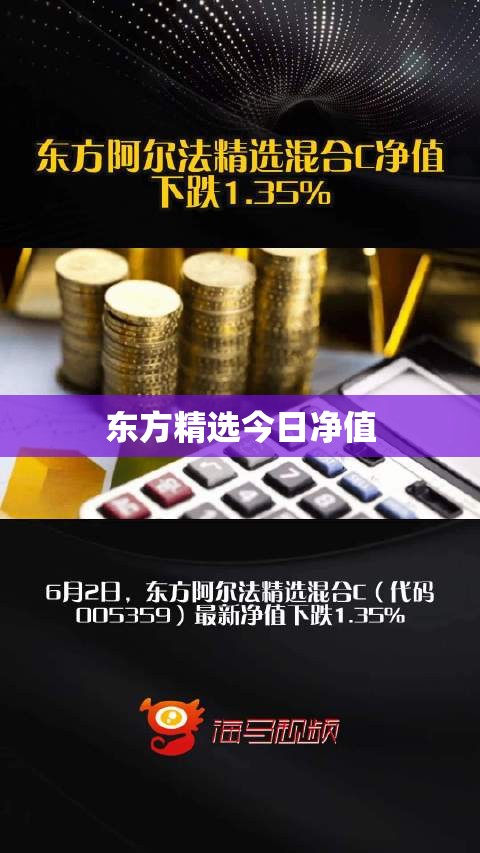 东方精选今日净值(东方精选400003今日净值查询)