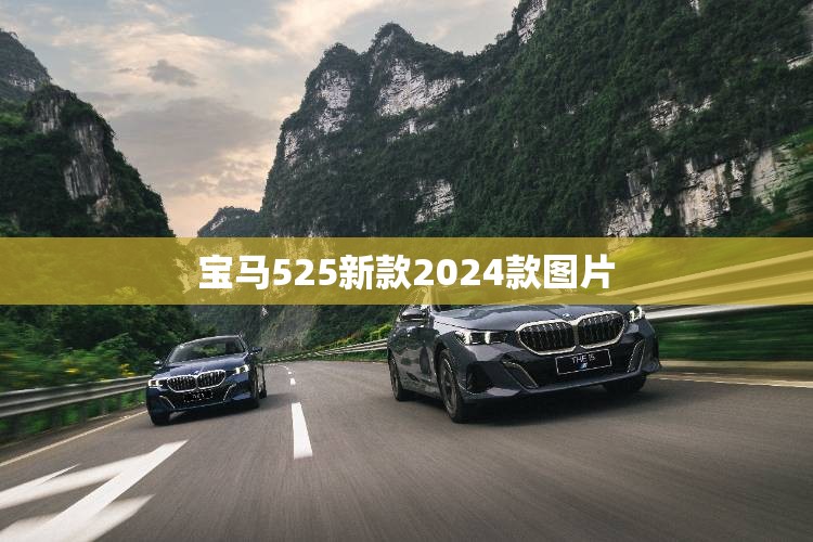 宝马525新款2024款图片(宝马525新款2026款费用及图片)