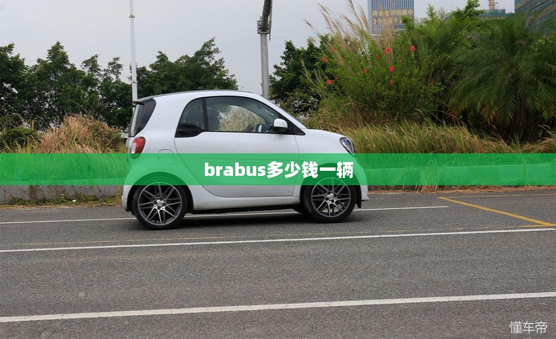 brabus多少钱一辆/巴博斯贵还是大g贵 brabus多少钱一辆/巴博斯贵还是大g贵