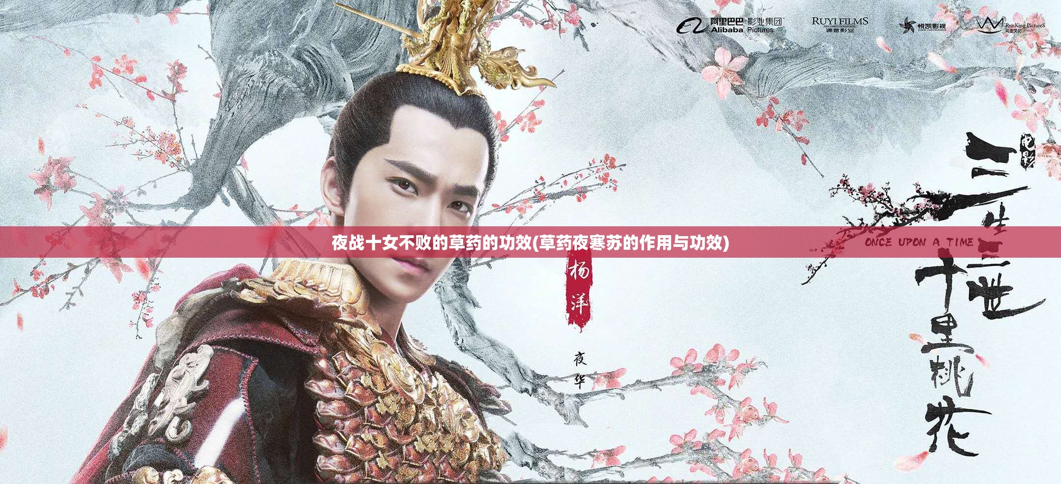 夜战十女不败的草药的功效(草药夜寒苏的作用与功效)