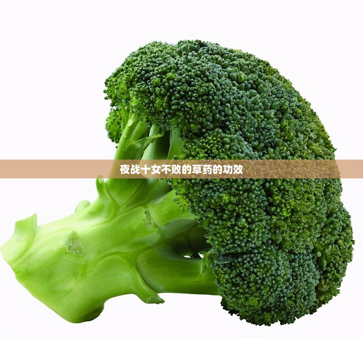 夜战十女不败的草药的功效(草药夜寒苏的作用与功效) 夜战十女不败的草药的功效(草药夜寒苏的作用与功效)