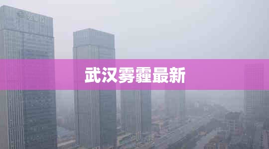 武汉雾霾最新/武汉雾霾最新数据 武汉雾霾最新/武汉雾霾最新数据