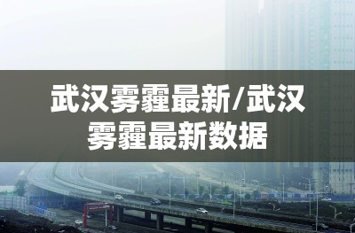 武汉雾霾最新/武汉雾霾最新数据 武汉雾霾最新/武汉雾霾最新数据