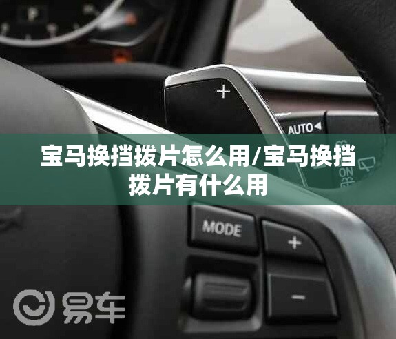宝马换挡拨片怎么用/宝马换挡拨片有什么用 宝马换挡拨片怎么用/宝马换挡拨片有什么用