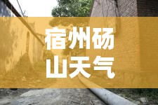 【宿州砀山天气,宿州砀山天气情况】 【宿州砀山天气,宿州砀山天气情况】