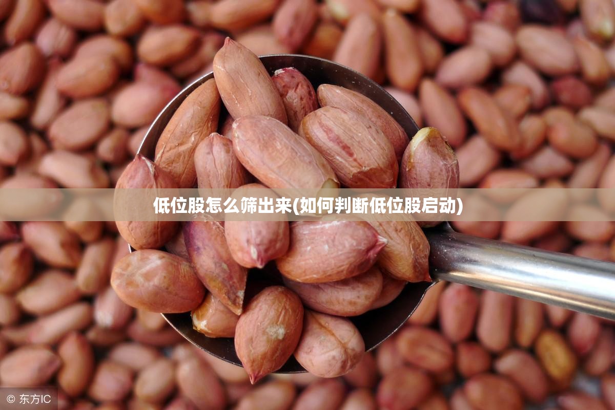 低位股怎么筛出来(如何判断低位股启动)