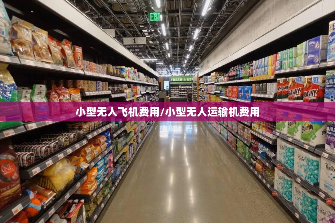 小型无人飞机费用/小型无人运输机费用