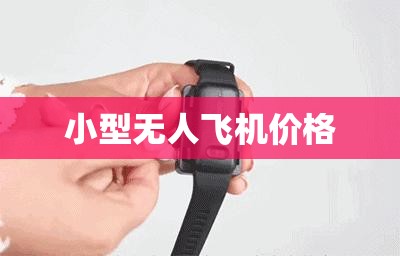 小型无人飞机费用/小型无人运输机费用