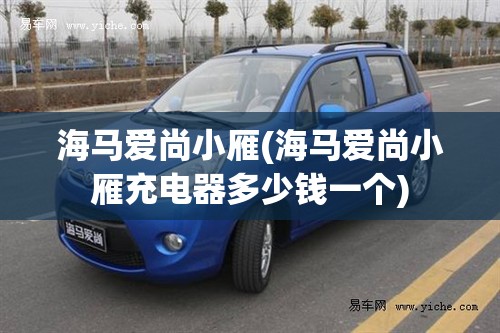 海马爱尚小雁(海马爱尚小雁充电器多少钱一个)