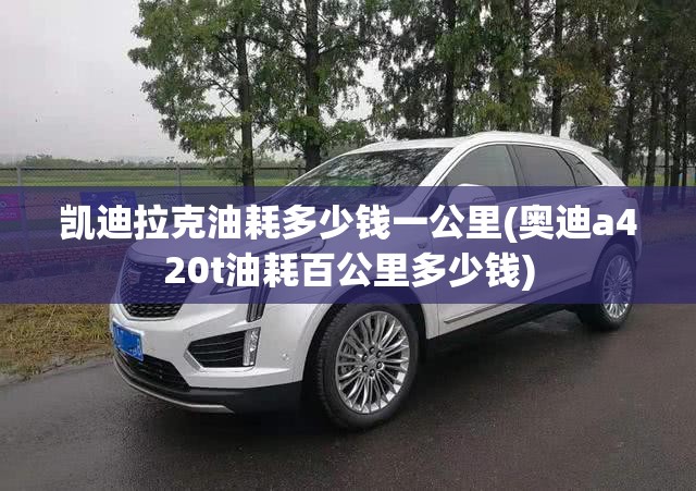 凯迪拉克油耗多少钱一公里(奥迪a420t油耗百公里多少钱)
