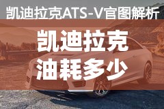 凯迪拉克油耗多少钱一公里(奥迪a420t油耗百公里多少钱)