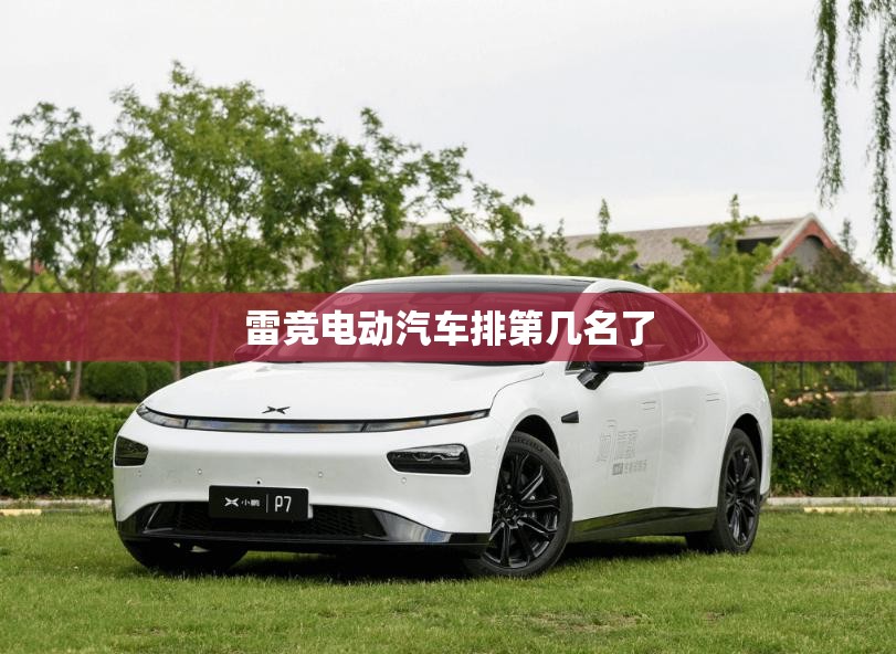 【雷竞电动汽车排第几名了,雷竞电动汽车费用表】