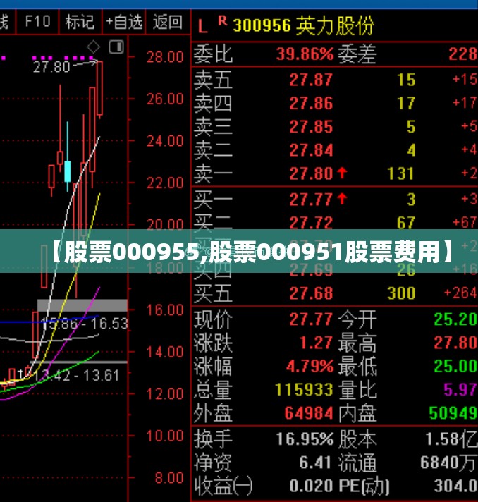 【股票000955,股票000951股票费用】 【股票000955,股票000951股票费用】
