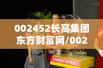 002452长高集团东方财富网/002349东方财富网