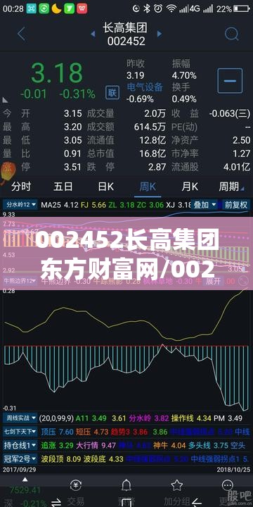 002452长高集团东方财富网/002349东方财富网
