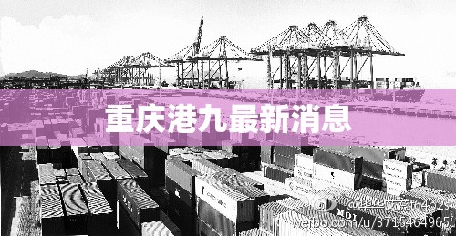 【重庆港九最新消息,重庆港九发展潜力】 【重庆港九最新消息,重庆港九发展潜力】
