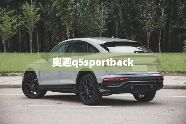 奥迪q5sportback/奥迪q5Sportback费用