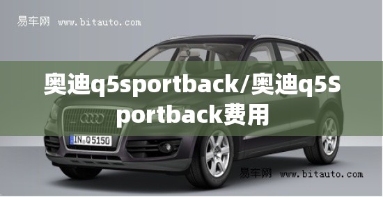 奥迪q5sportback/奥迪q5Sportback费用 奥迪q5sportback/奥迪q5Sportback费用
