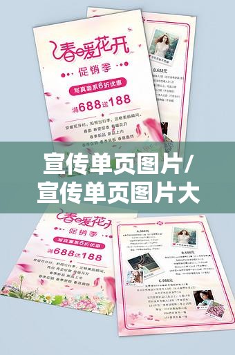 宣传单页图片/宣传单页图片大全 宣传单页图片/宣传单页图片大全