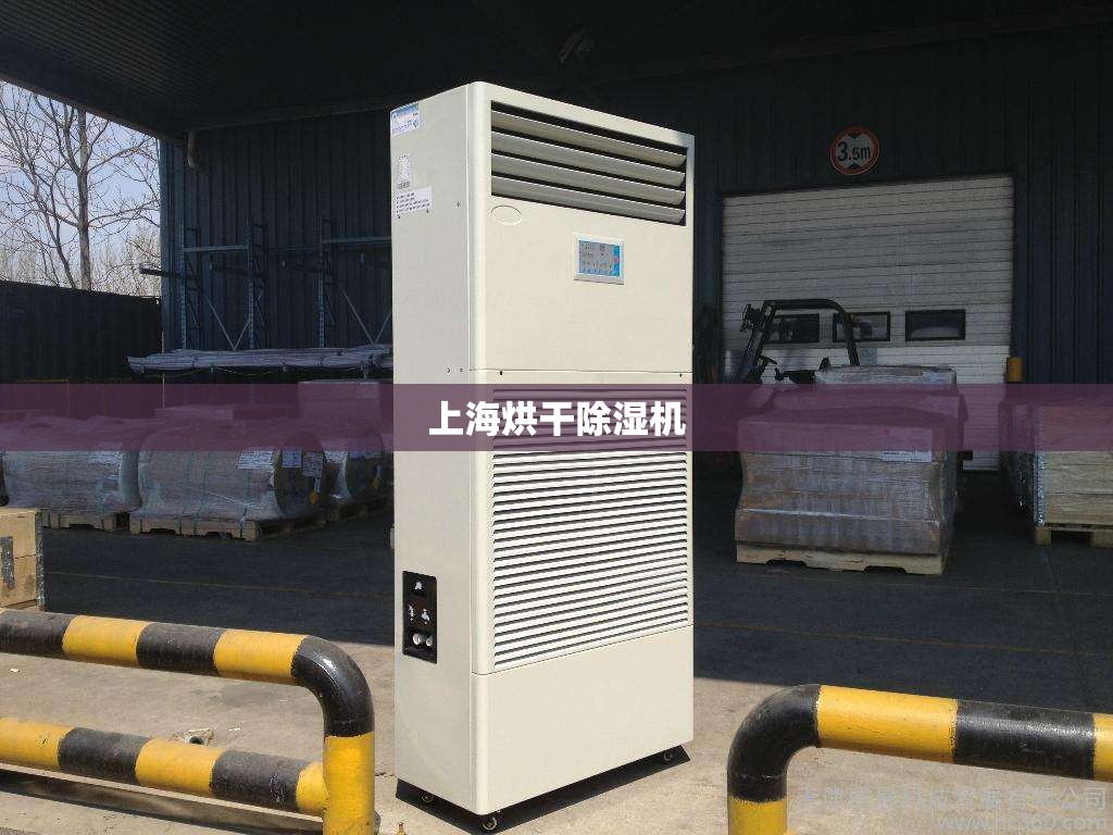上海烘干除湿机/烘干房高温除湿机费用