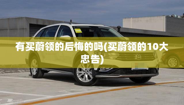 有买蔚领的后悔的吗(买蔚领的10大忠告)