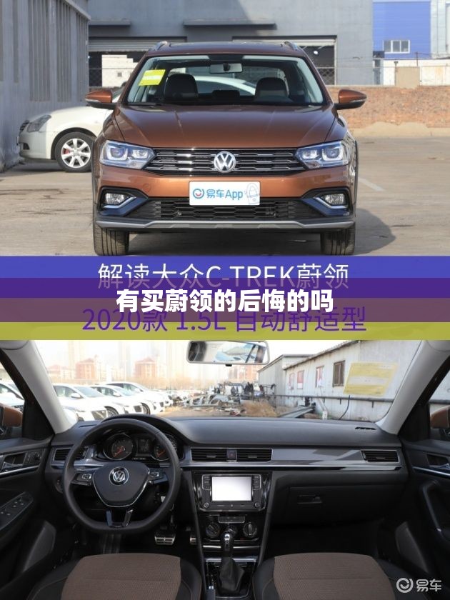 有买蔚领的后悔的吗(买蔚领的10大忠告)